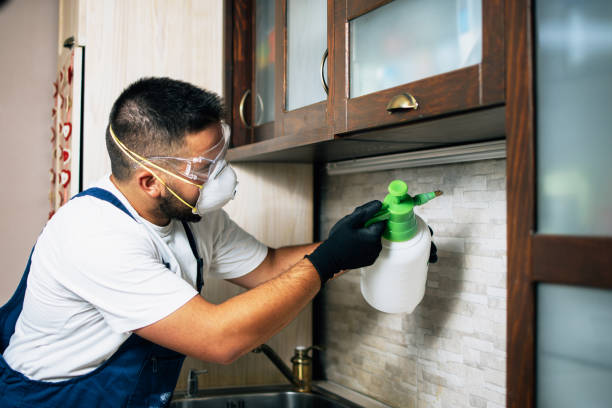 Best Pest Control Near Me  in Wheat Ridge, CO