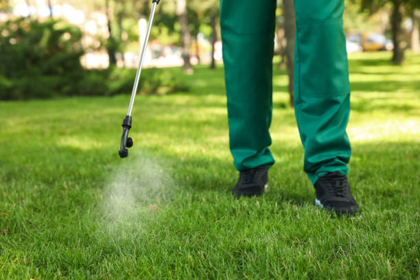 Best Emergency Pest Control  in Wheat Ridge, CO